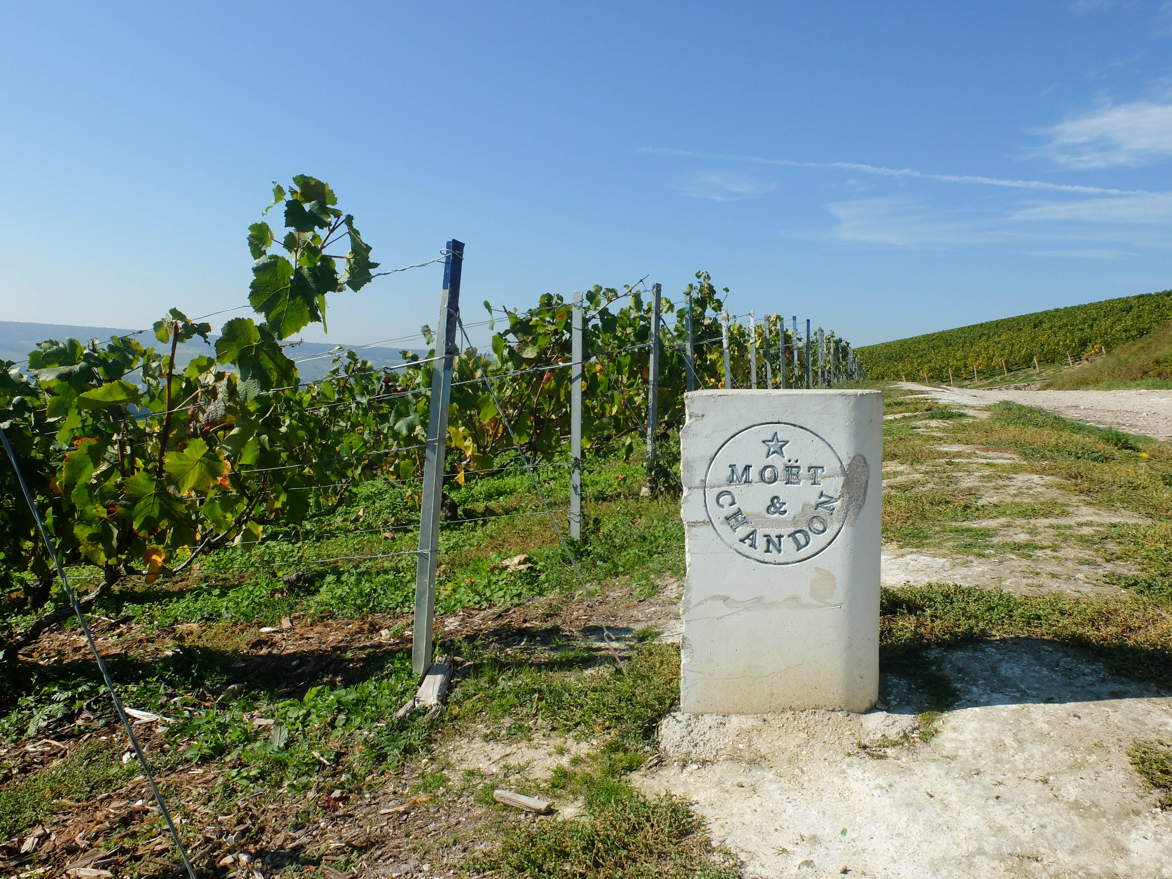 A Moment With Moët et Chandon Epernay - The Good Life France