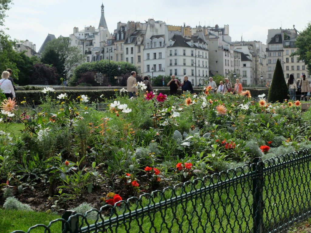 Parisian Flowers & Fleurs